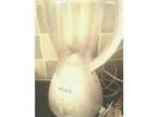 ***Toaster,  coffee maker,  jug blender Â£15 the lot!***. I....