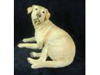 Country Artists - Golden Labrador Figurine