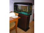 fish tank