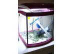 Aqua One Aquarium Aquastart 320 Pink 28l